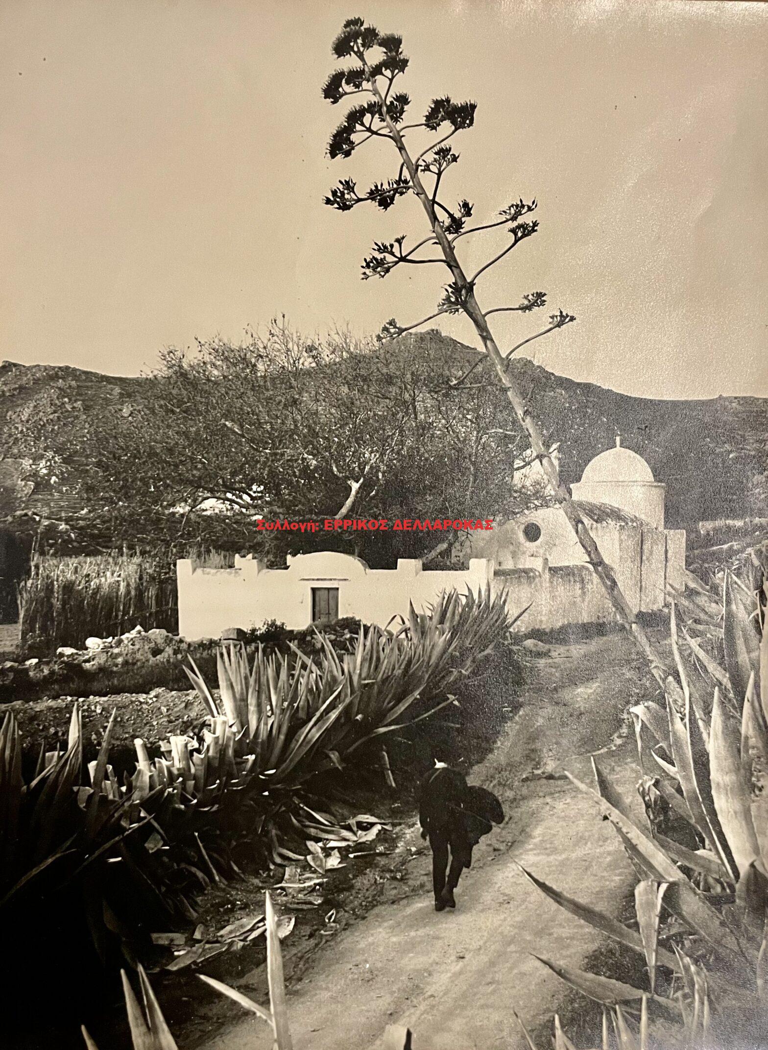 1961 μονή Φραγκισκανών (ΦΡΑΡΩΝ)