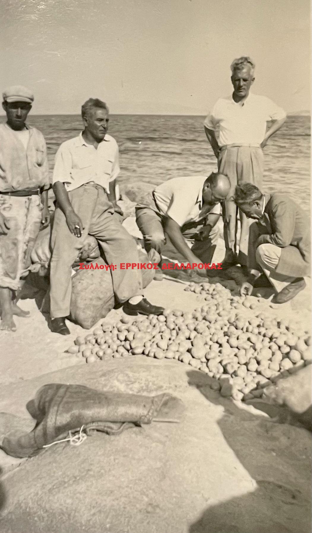1960 εξαγωγή πατάτας