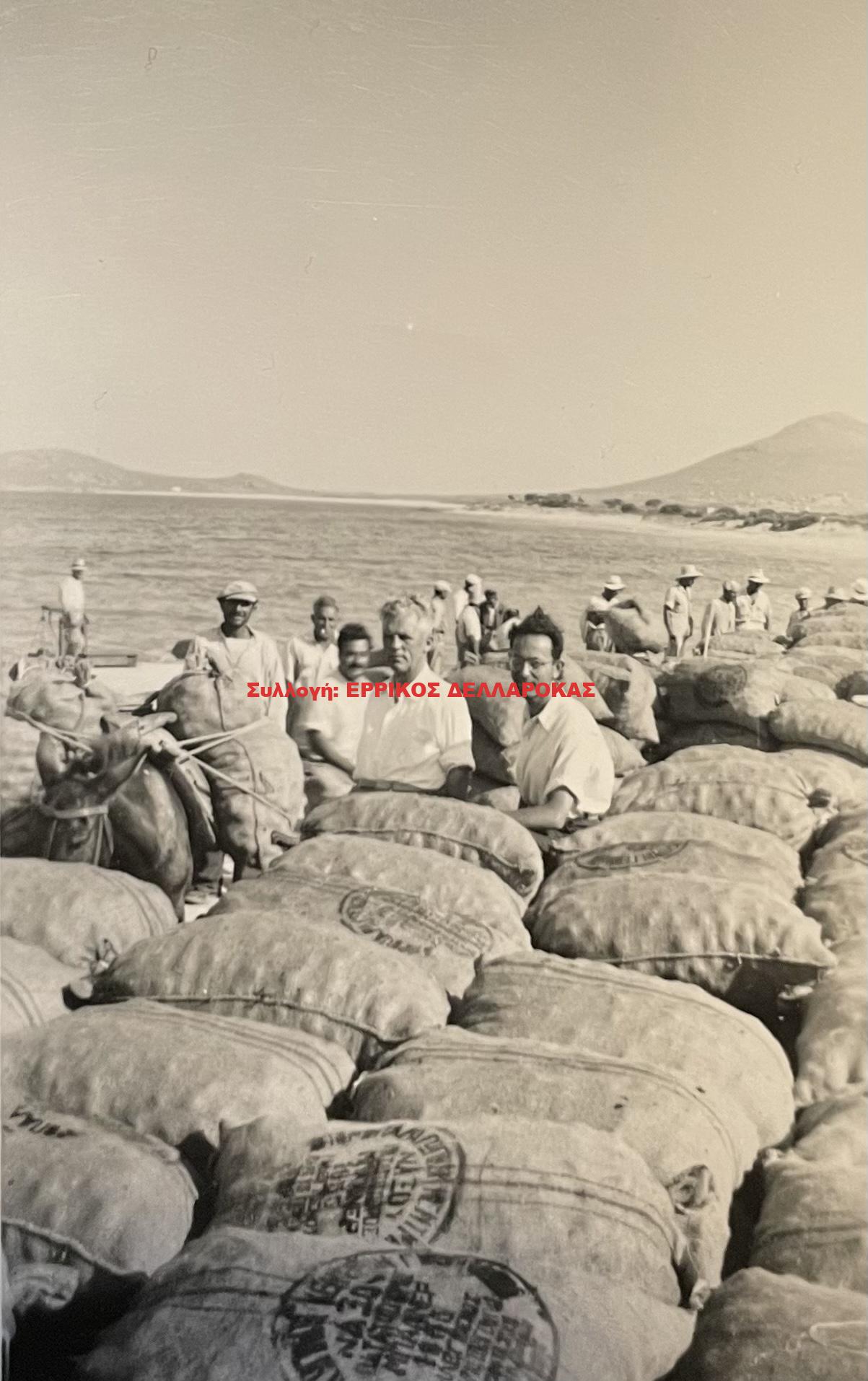 1959 εξαγωγή πατάτας