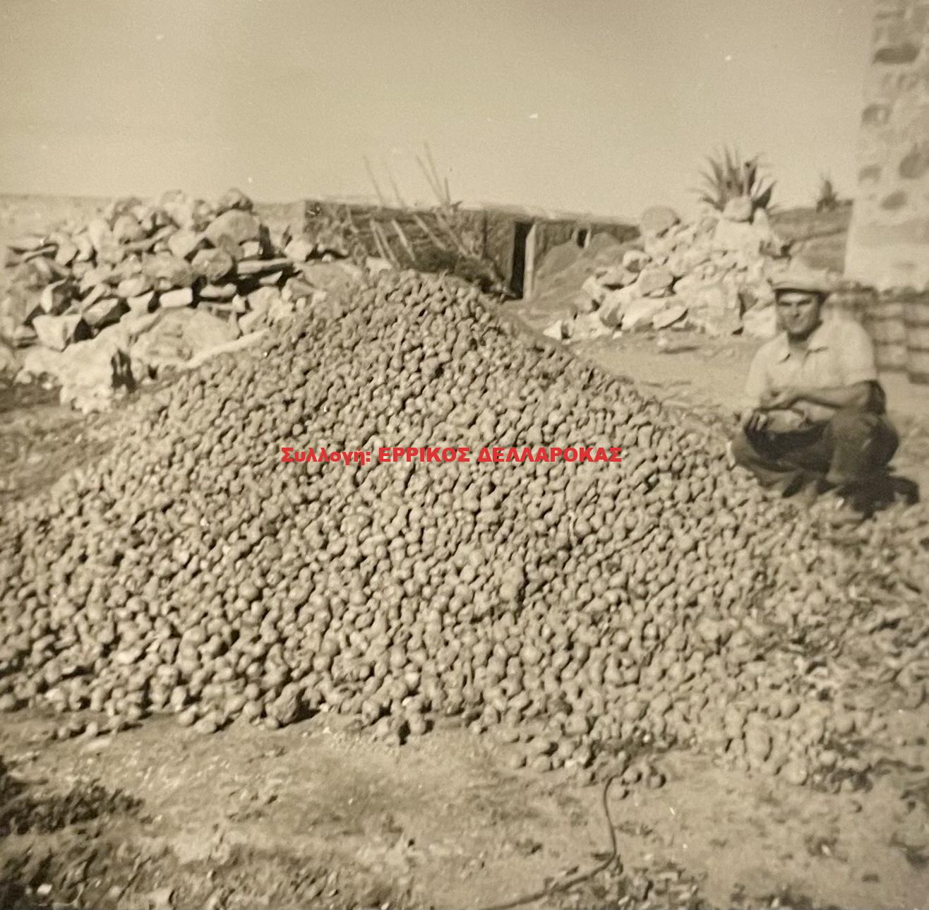 1956 πατάτες
