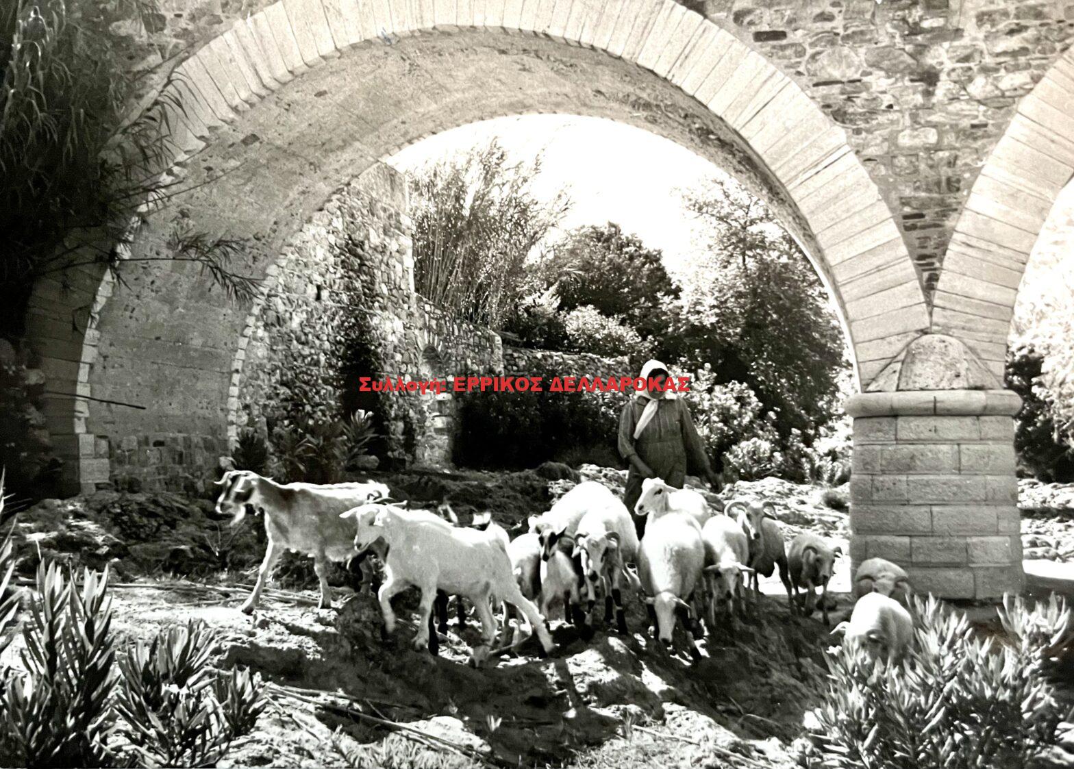 1970 Εγγαρές