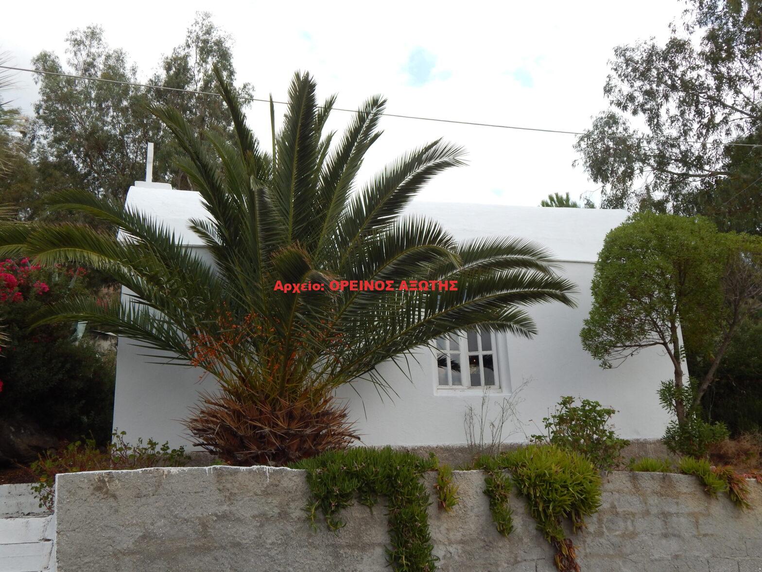 Παναγία (Κοίμηση Θεοτόκου)