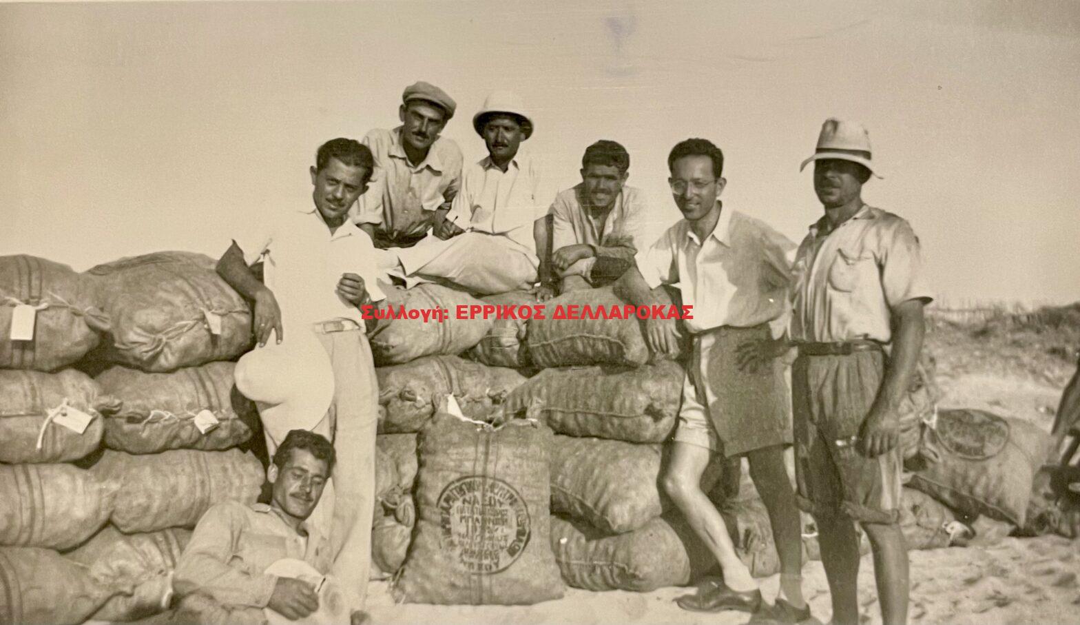 1961 εξαγωγή πατάτας