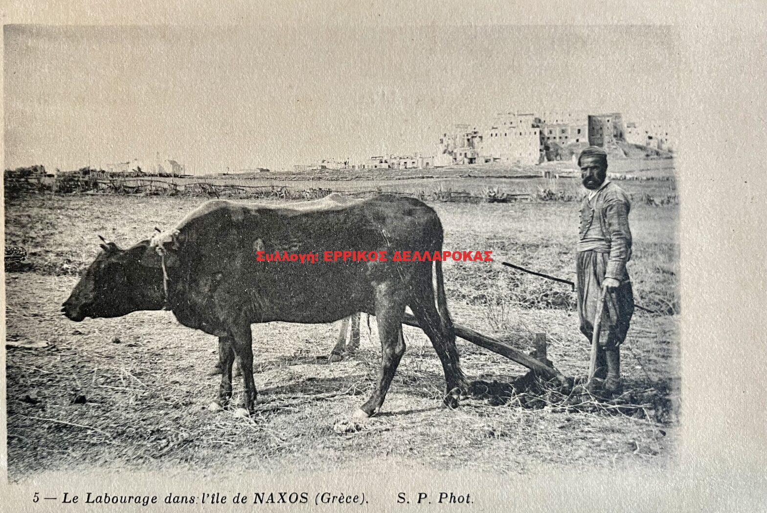 1900 La labourage dans l’ile de Naxos