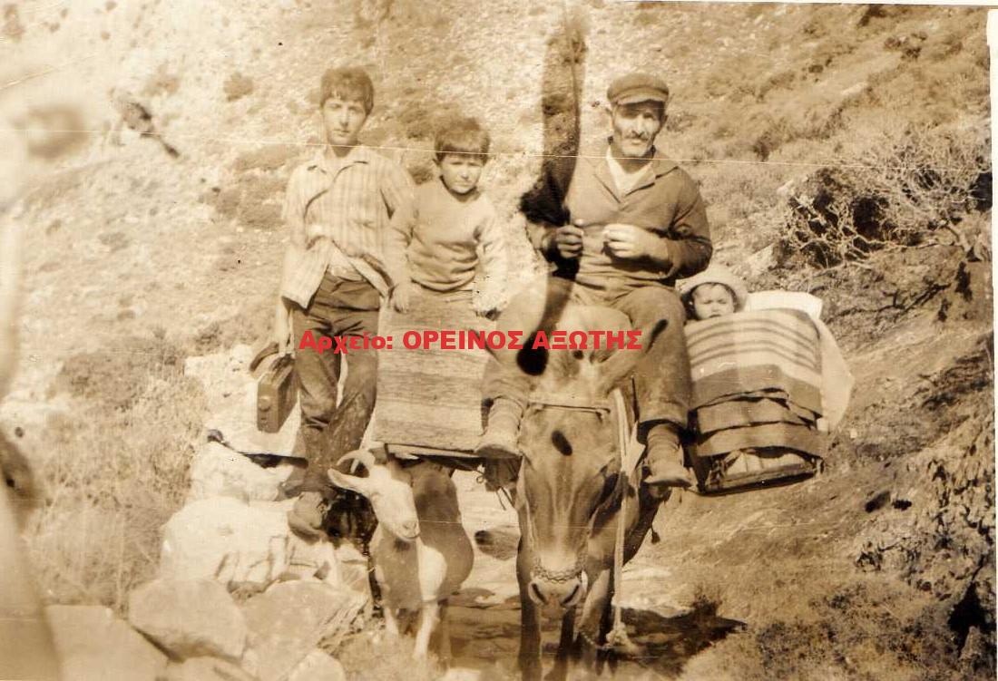 1975 Κόρωνος