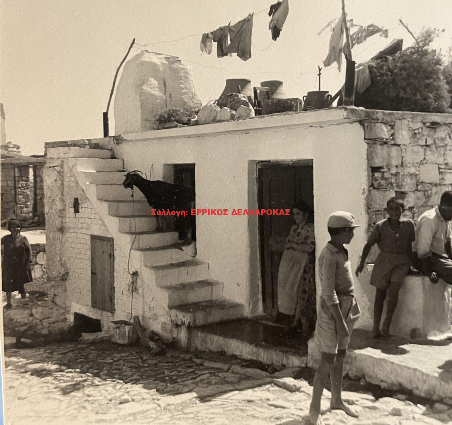 1962 ΚΥΝΙΔΑΡΟΣ
