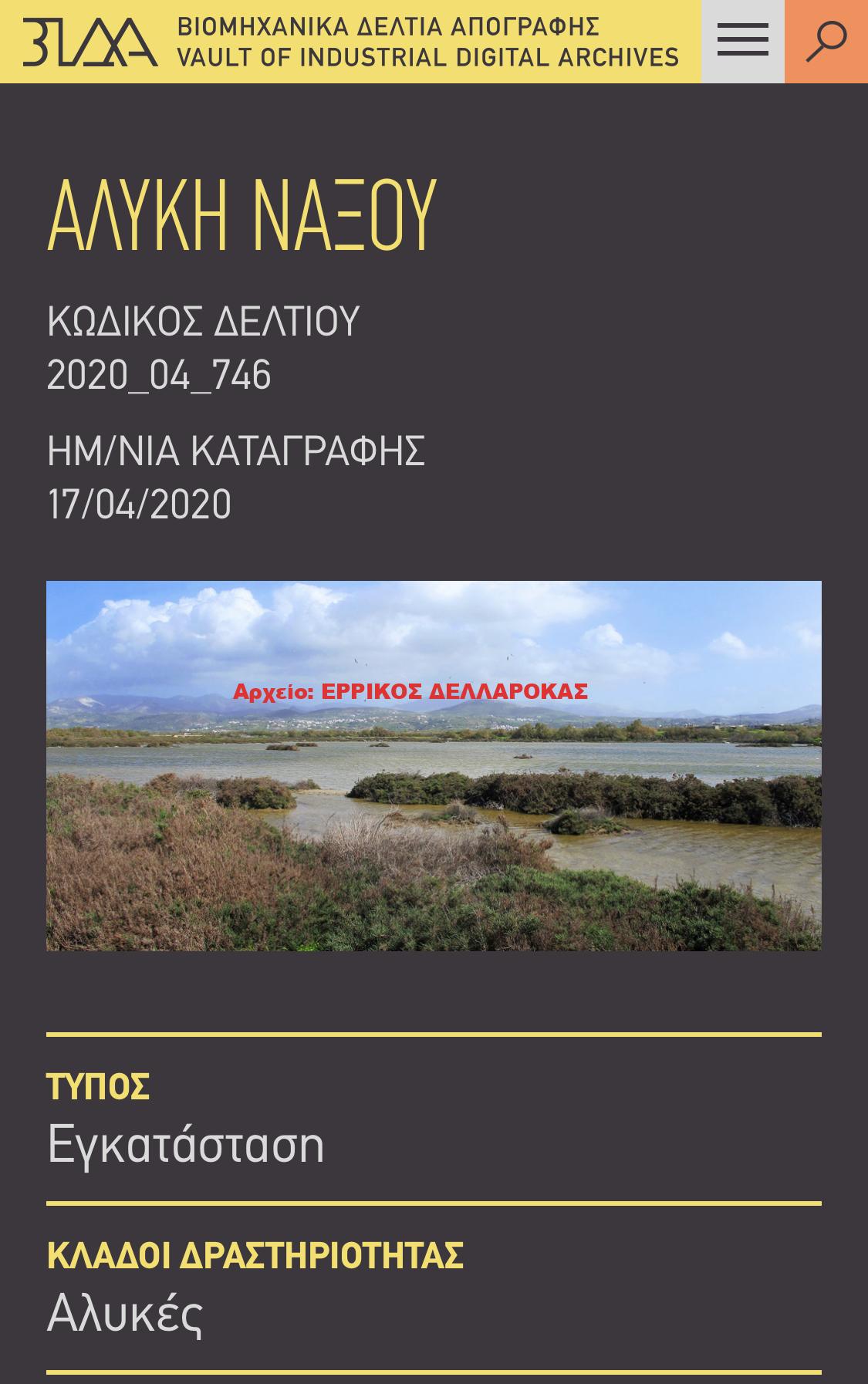 ΑΛΥΚΗ ΝΑΞΟΥ