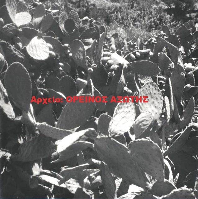1931 Τρίποδες