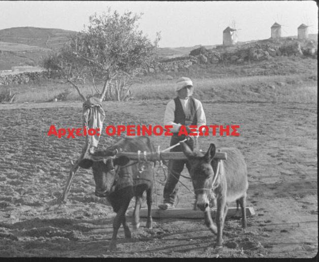 1931 Τρίποδες