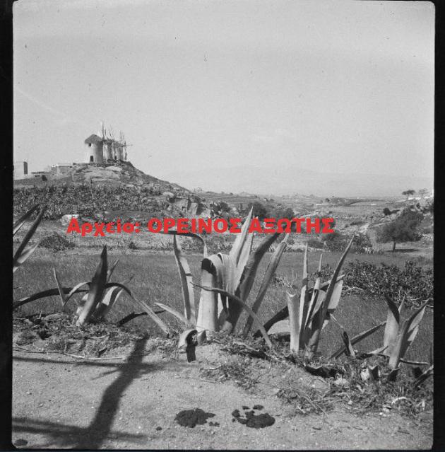 1931 Τρίποδες