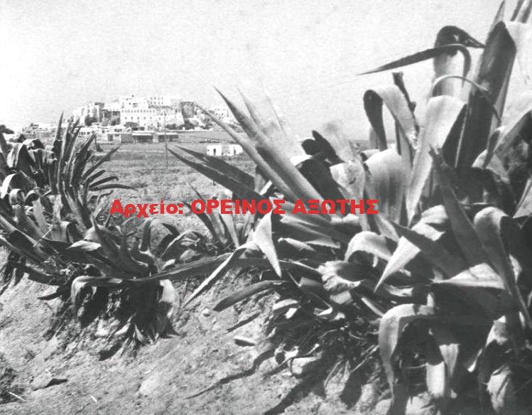 1931 Χώρα