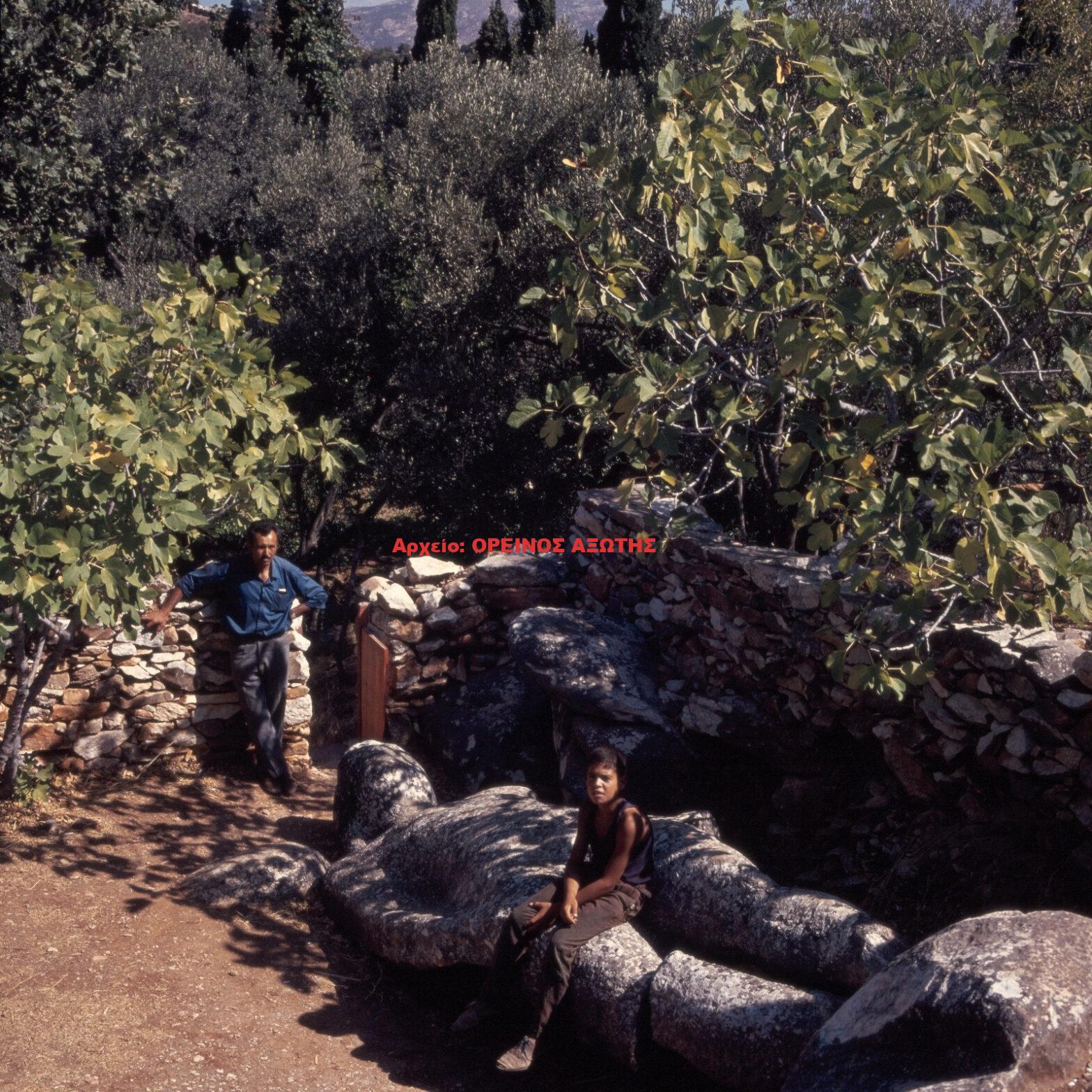 1976 Μέλανες