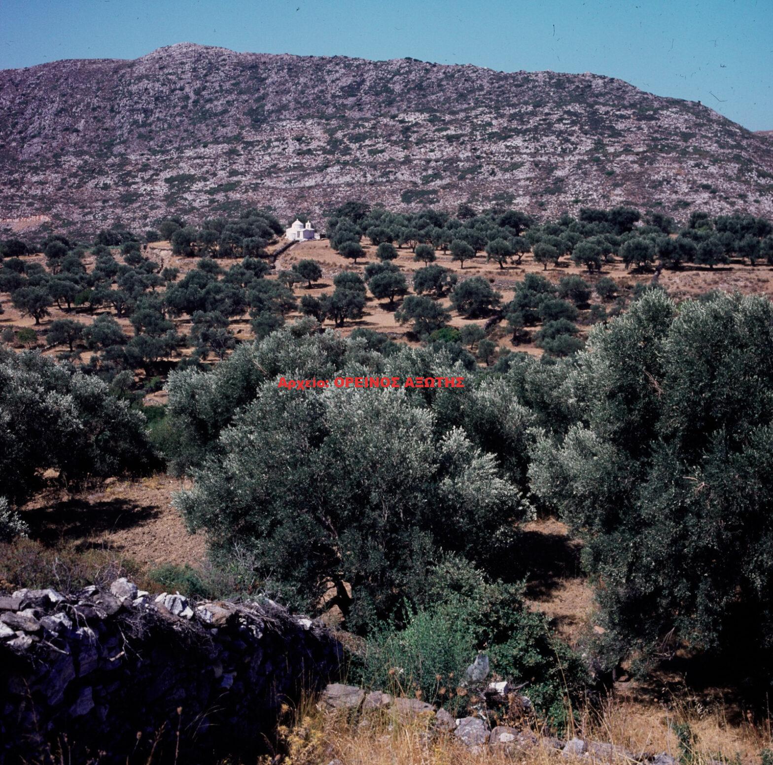 1976 Τραγαία