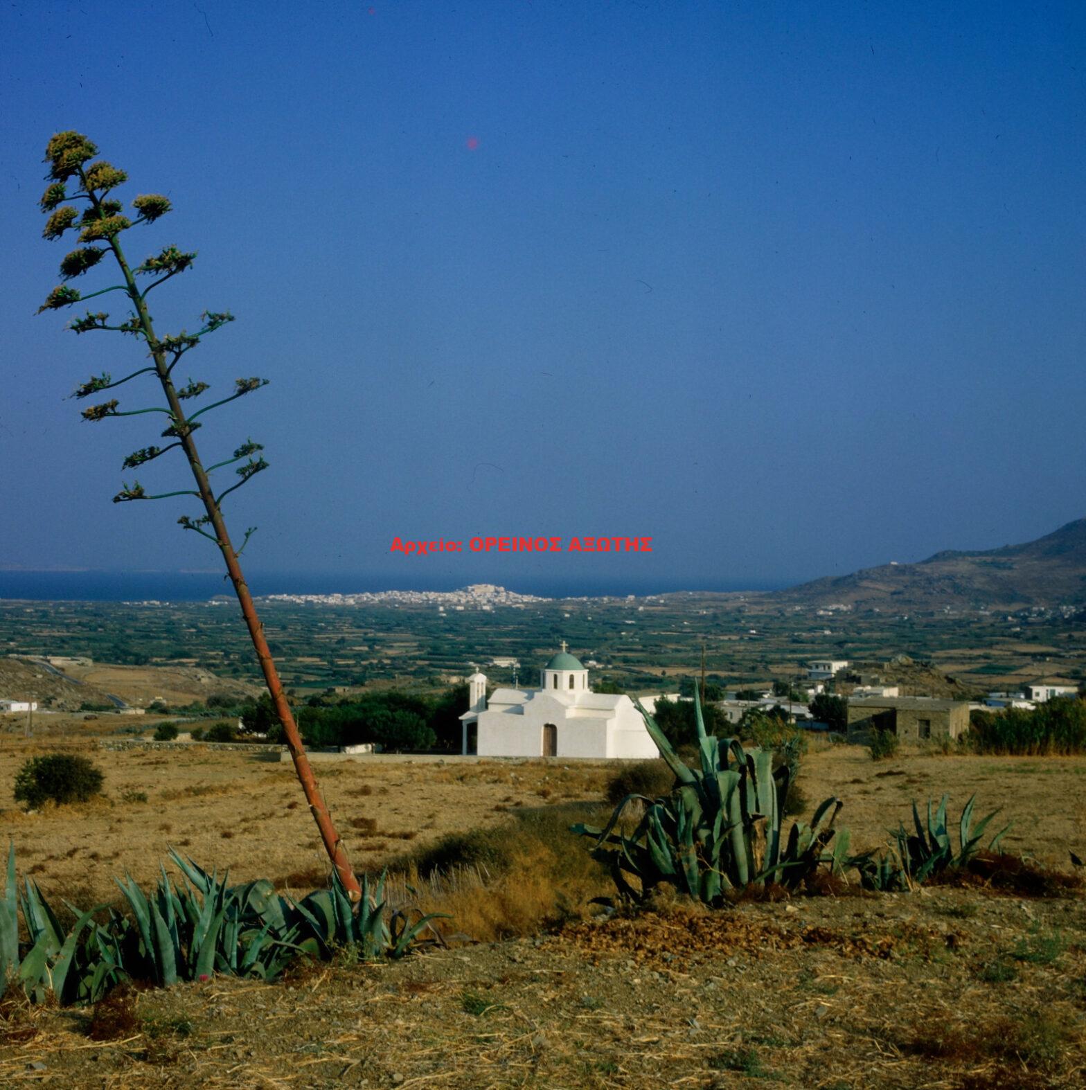 1981 Γαλανάδο