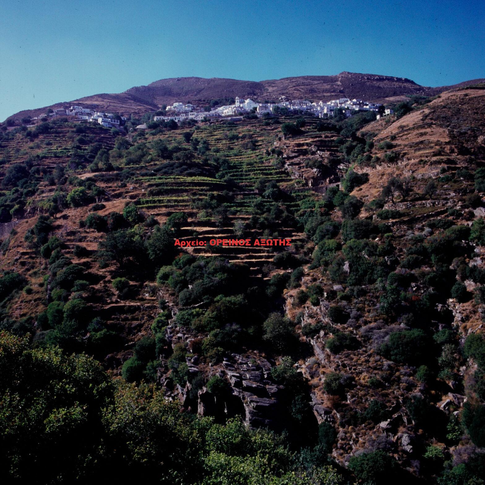 1976 Κωμιακή