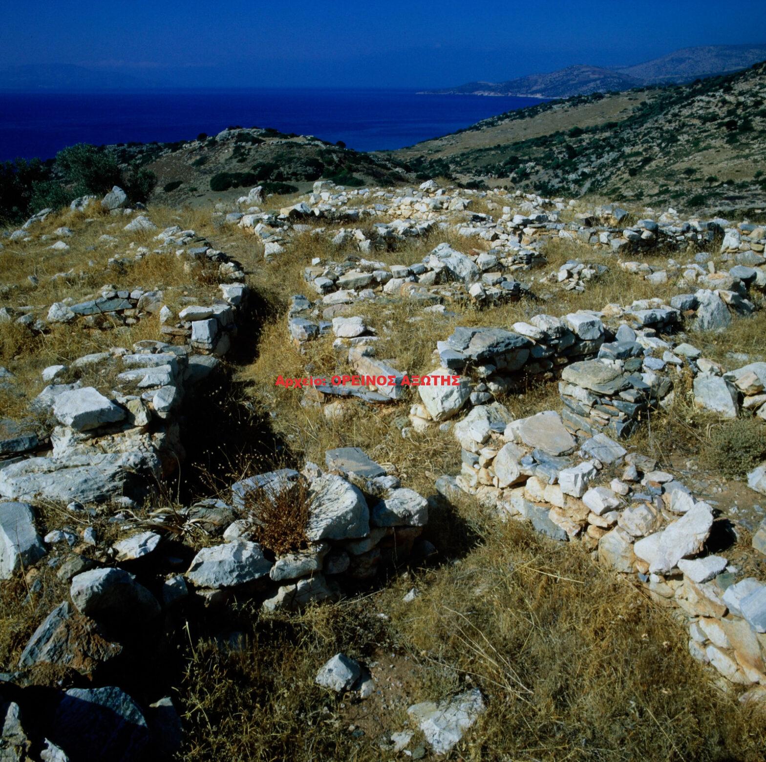 1981 Κορφάρι Αμυγδαλιών Πάνερμος