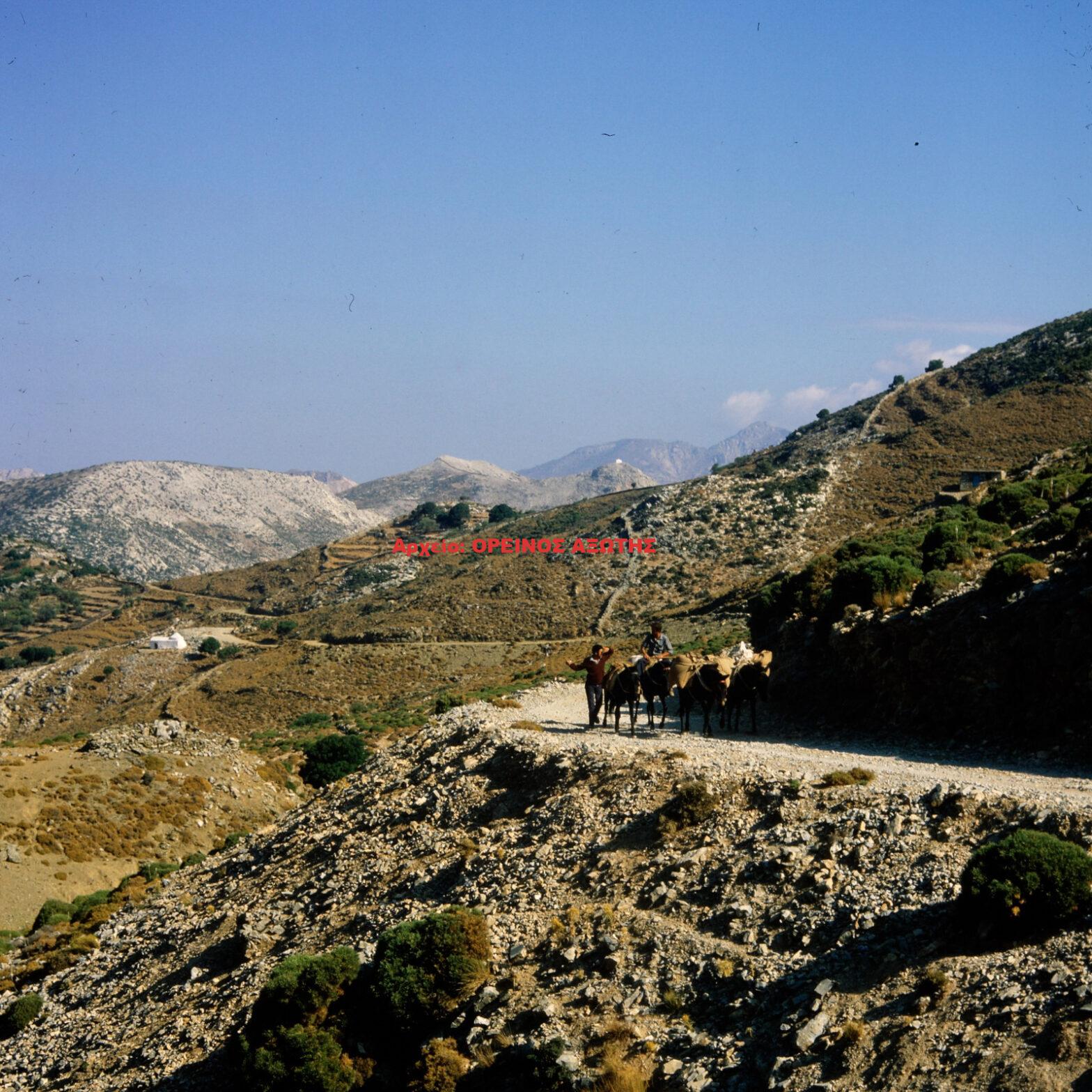 1981 Φιλότι