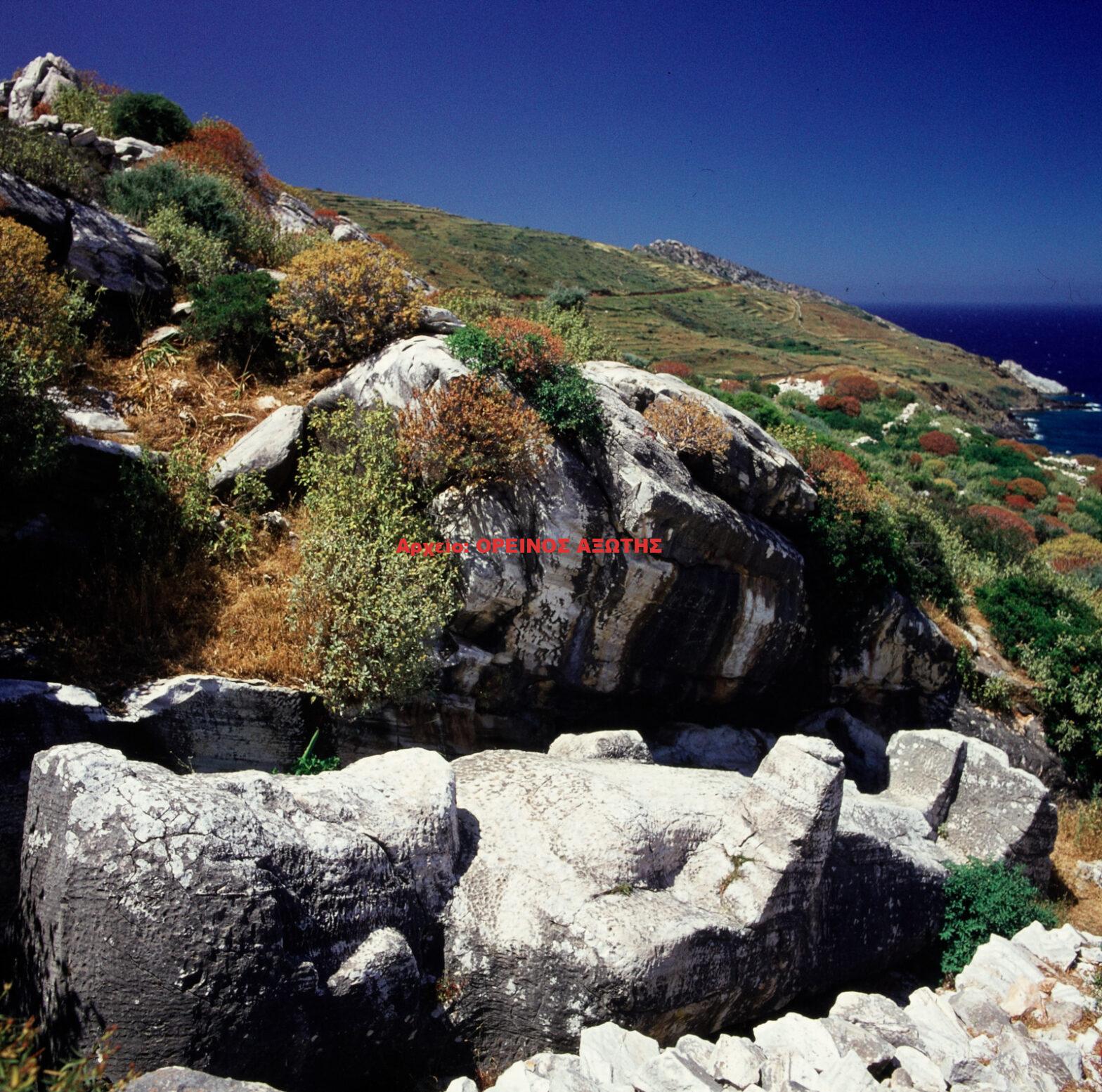 1971 Απόλλωνας