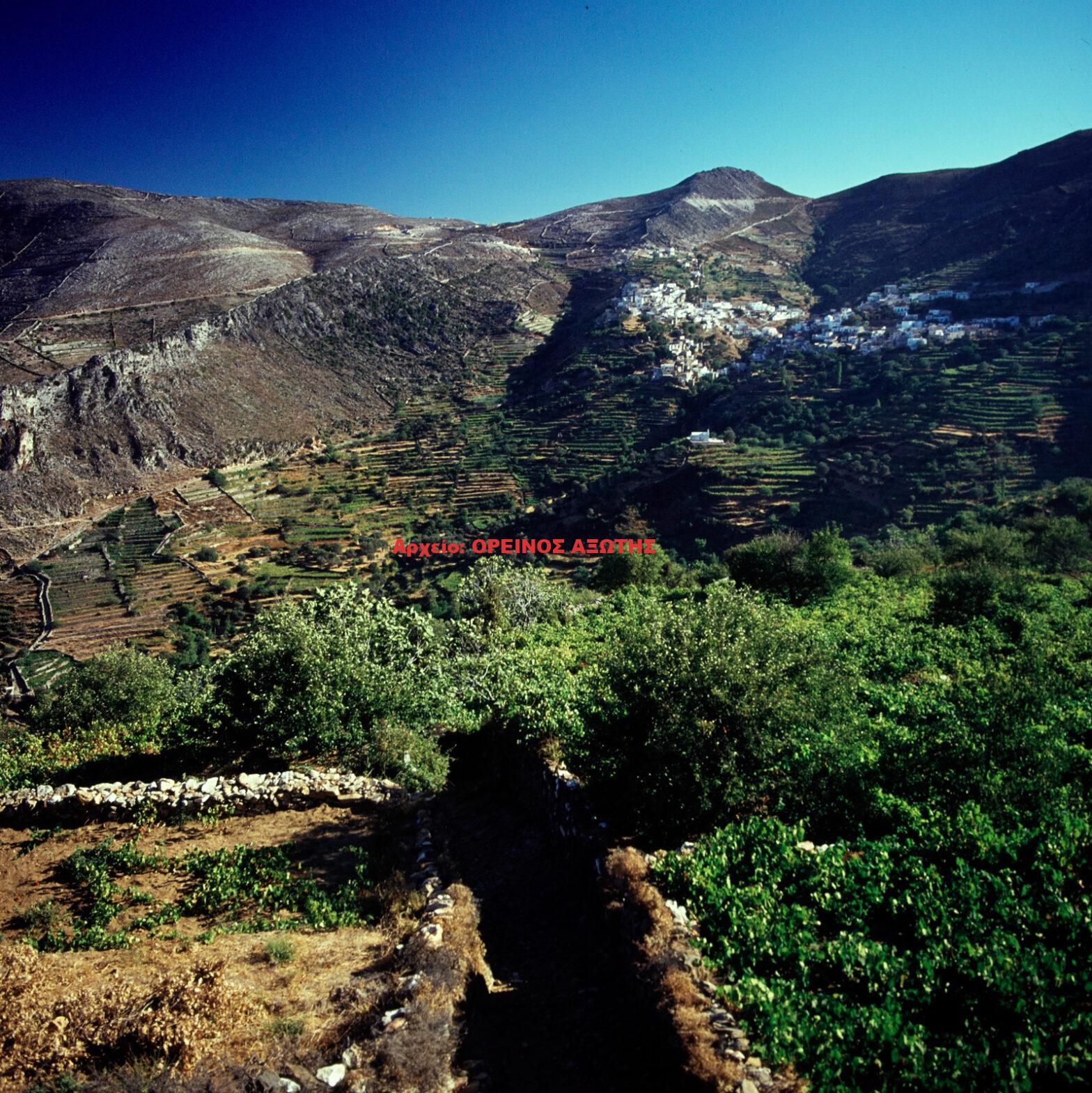1973 Κόρωνος