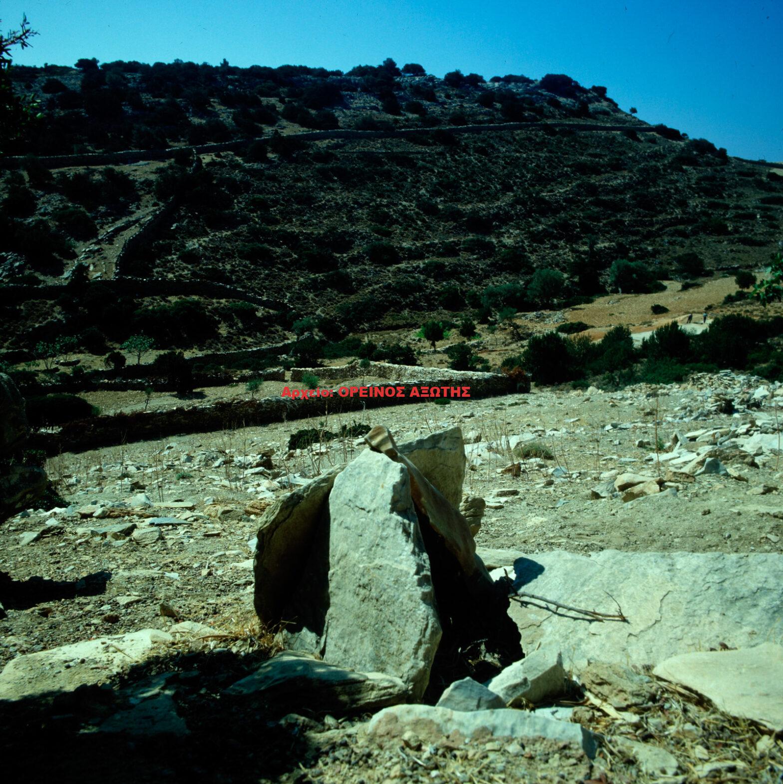 1981 Σπενδός