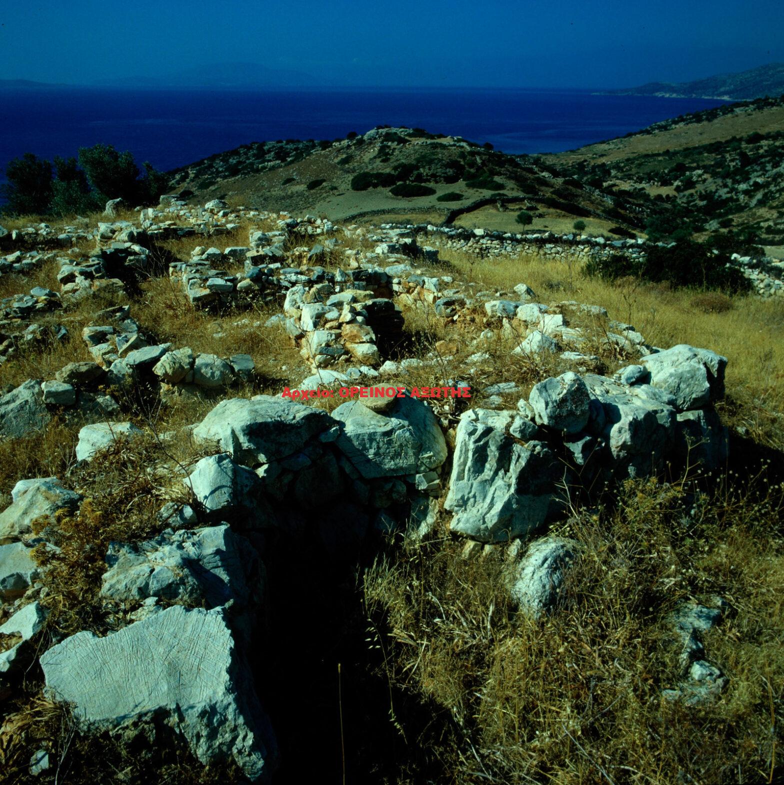 1981 Κορφάρι Αμυγδαλιών Πάνερμος