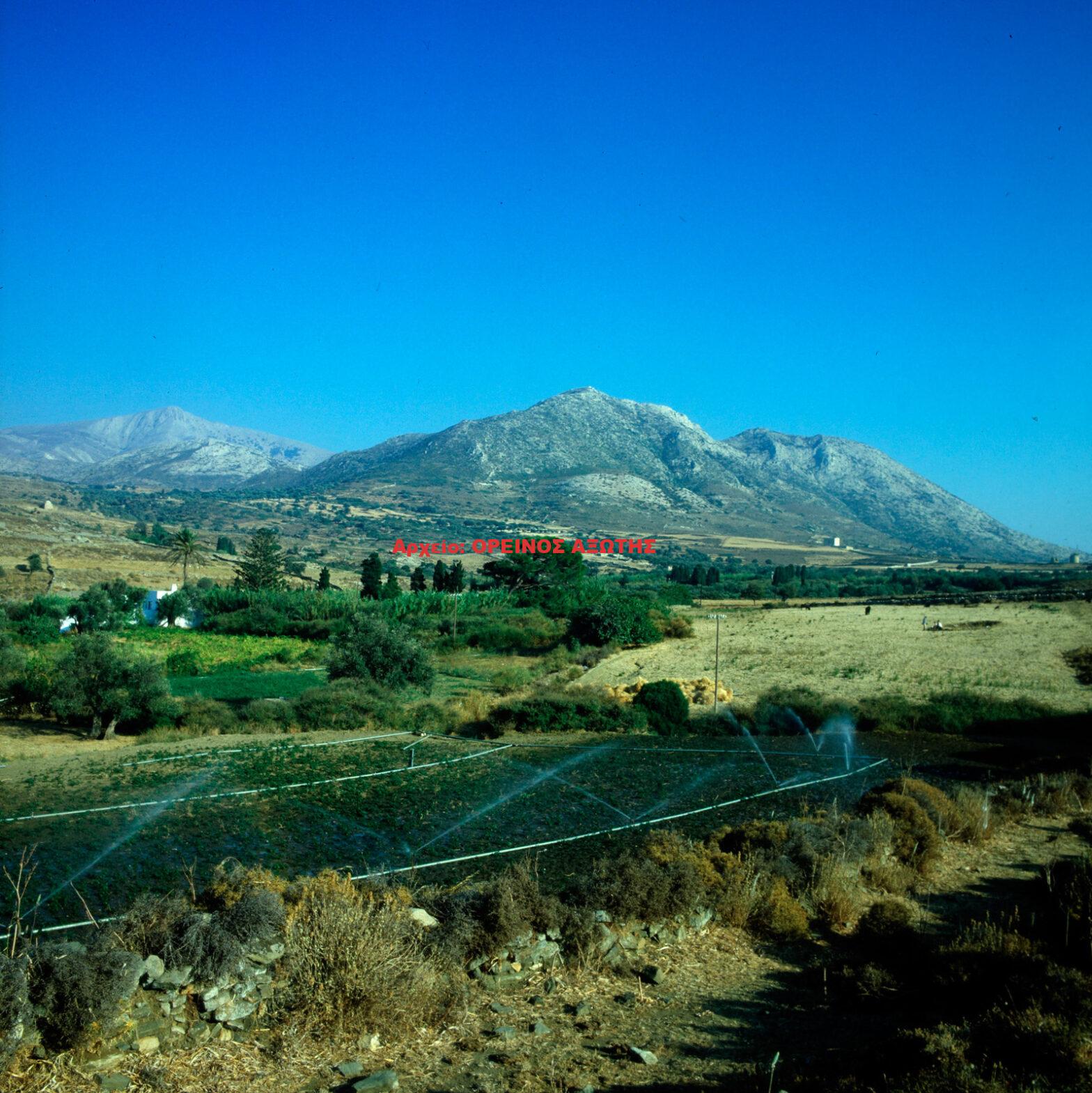 1981 Κάτω Σαγκρί
