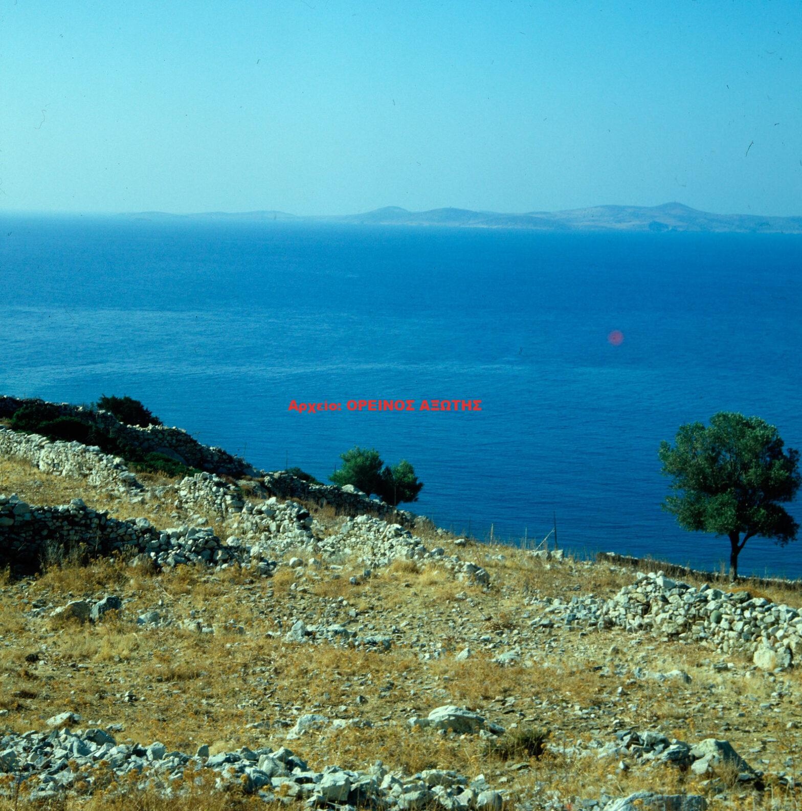 1981 Σπενδός