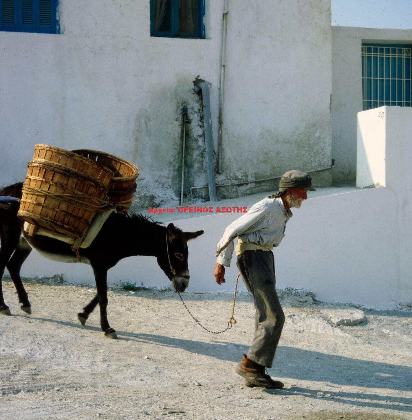 1976 Νάξος