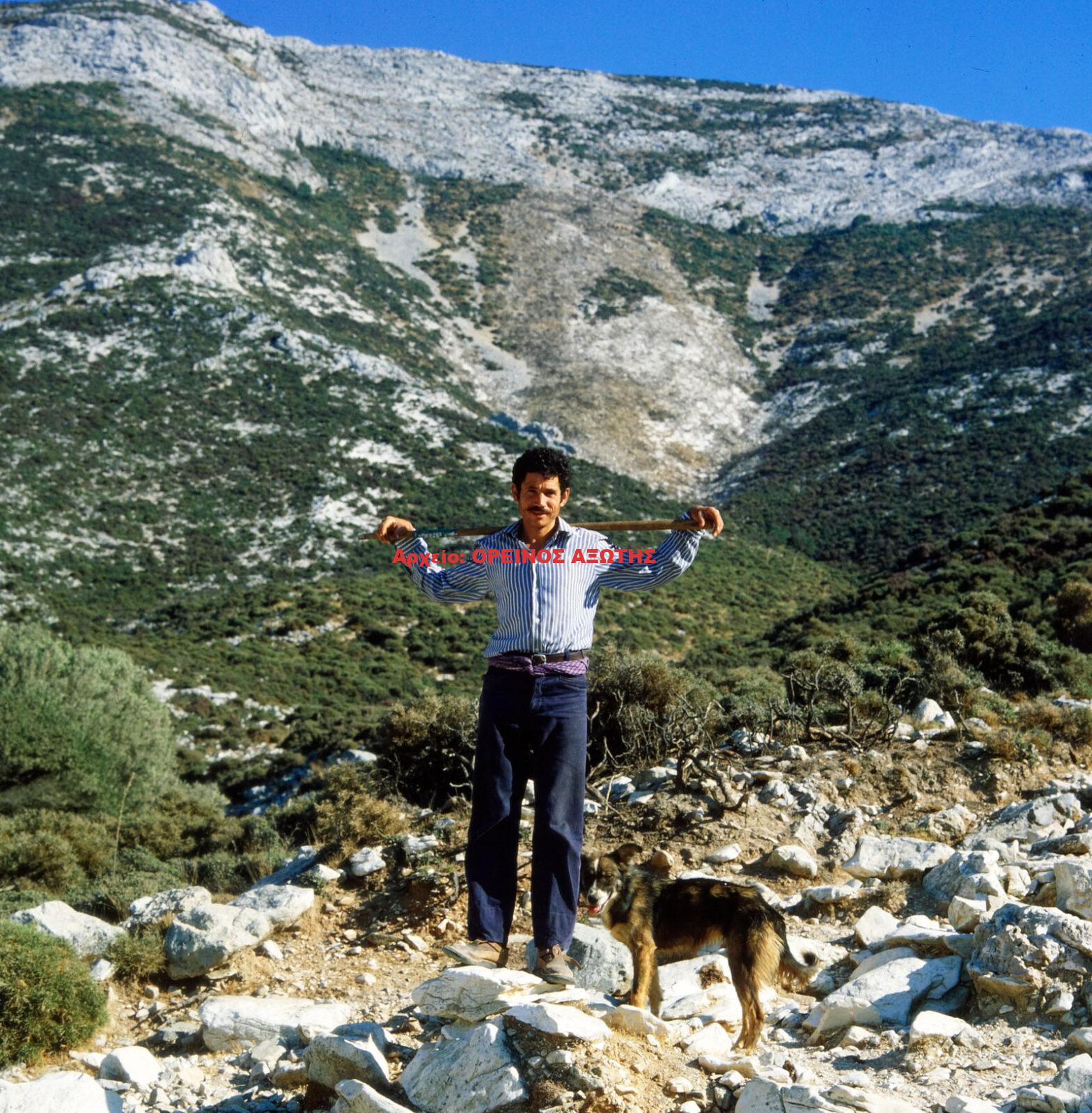 1976 Φιλότι