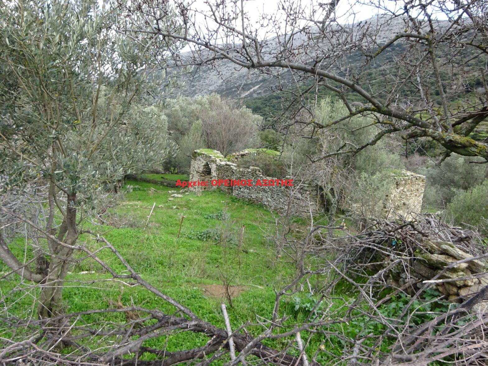 Πύργος Κάστρι στο Δανακό