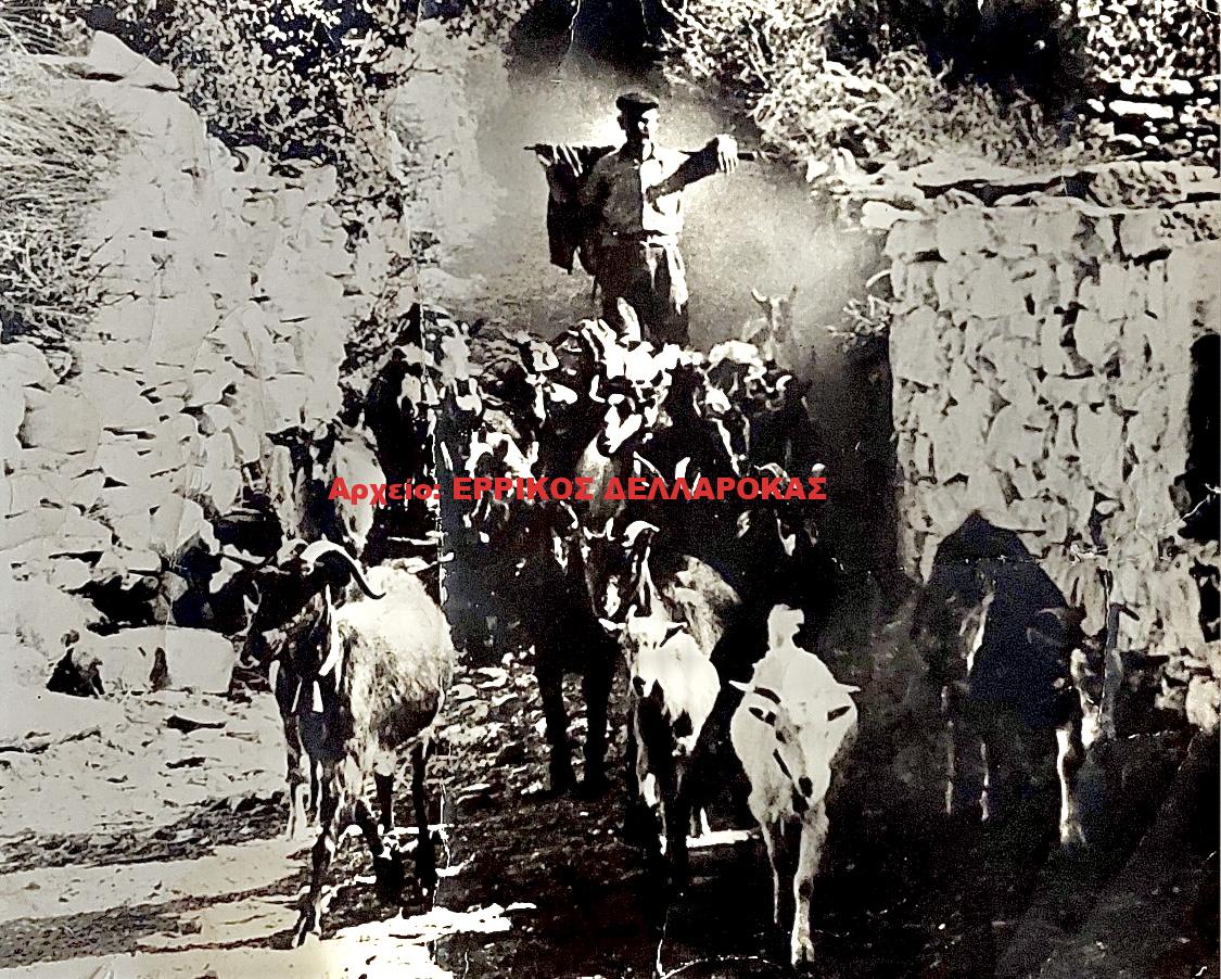 1960 Φιλώτι