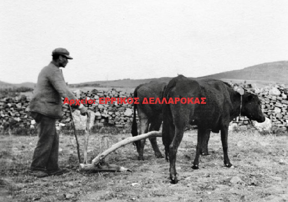 1937 ΟΡΓΩΜΑ