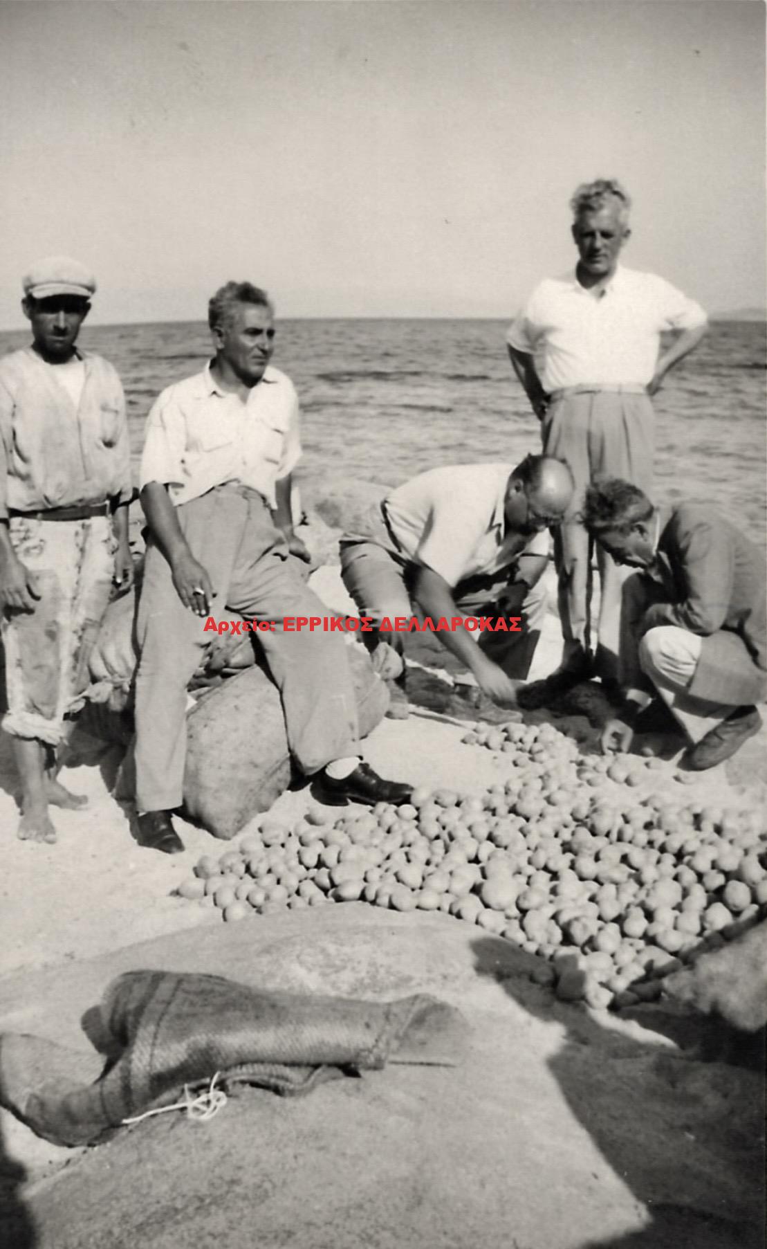 1960 ΠΑΤΑΤΟΠΑΡΑΓΩΓΟΙ ΣΤΟ ΛΙΜΑΝΙ ΤΗΣ ΑΓΙΑΣ ΑΝΝΑΣ