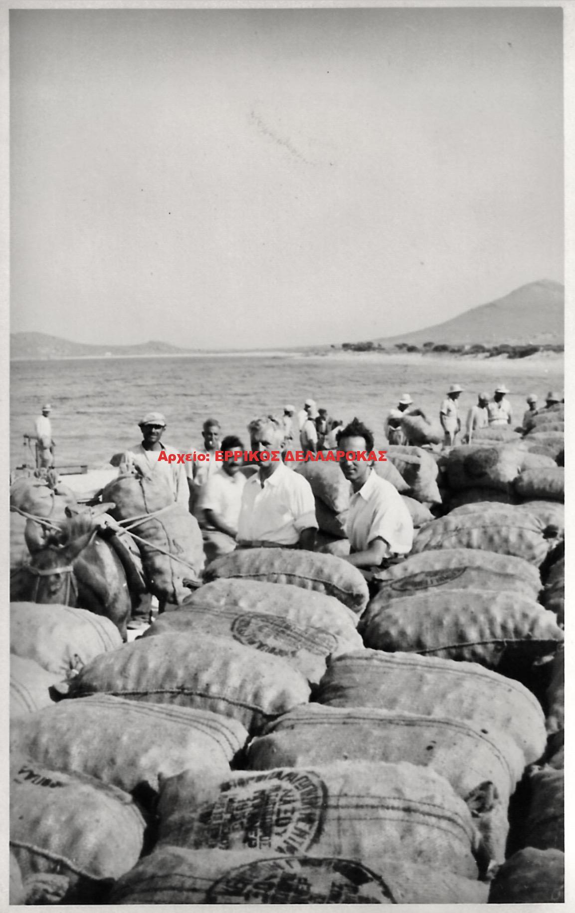 1960 ΠΑΤΑΤΟΠΑΡΑΓΩΓΟΙ ΣΤΟ ΛΙΜΑΝΙ ΤΗΣ ΑΓΙΑΣ ΑΝΝΑΣ