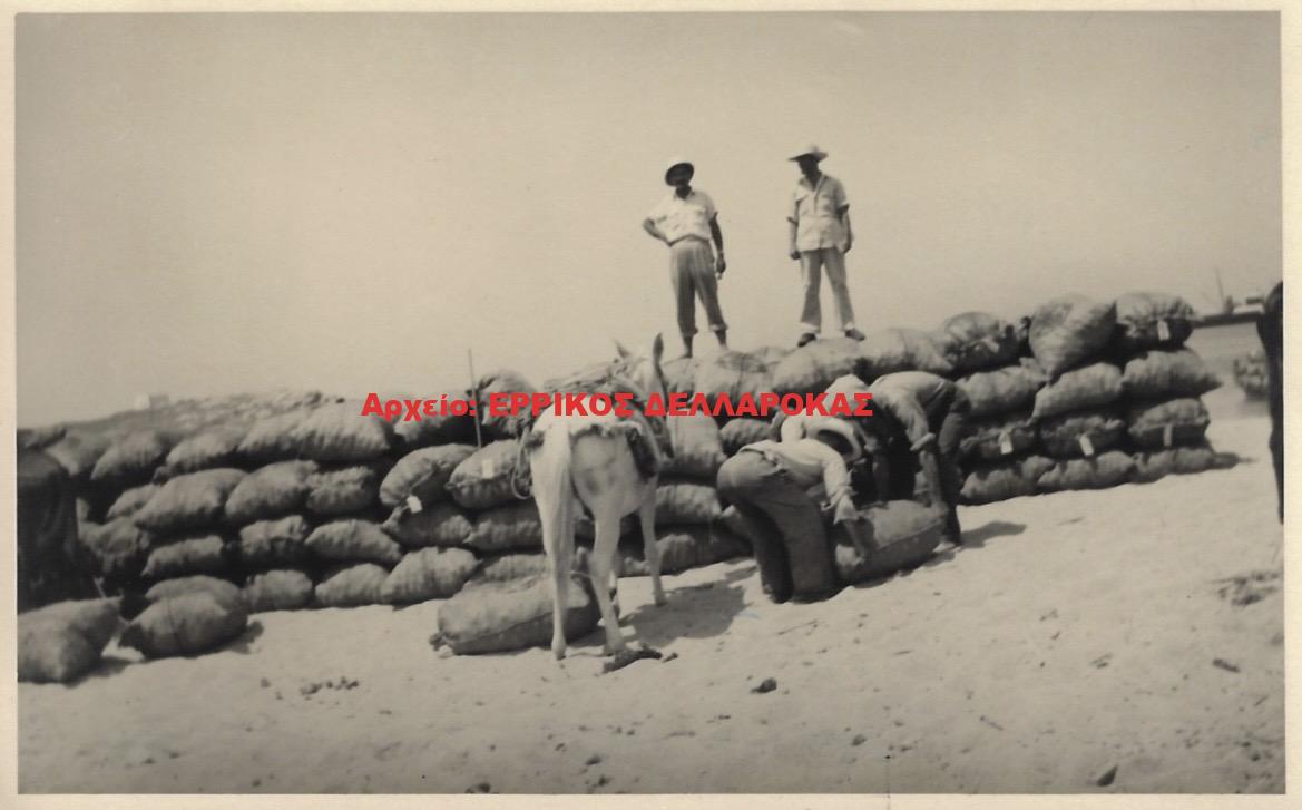 1960 ΠΑΤΑΤΟΠΑΡΑΓΩΓΟΙ ΣΤΟ ΛΙΜΑΝΙ ΤΗΣ ΑΓΙΑΣ ΑΝΝΑΣ