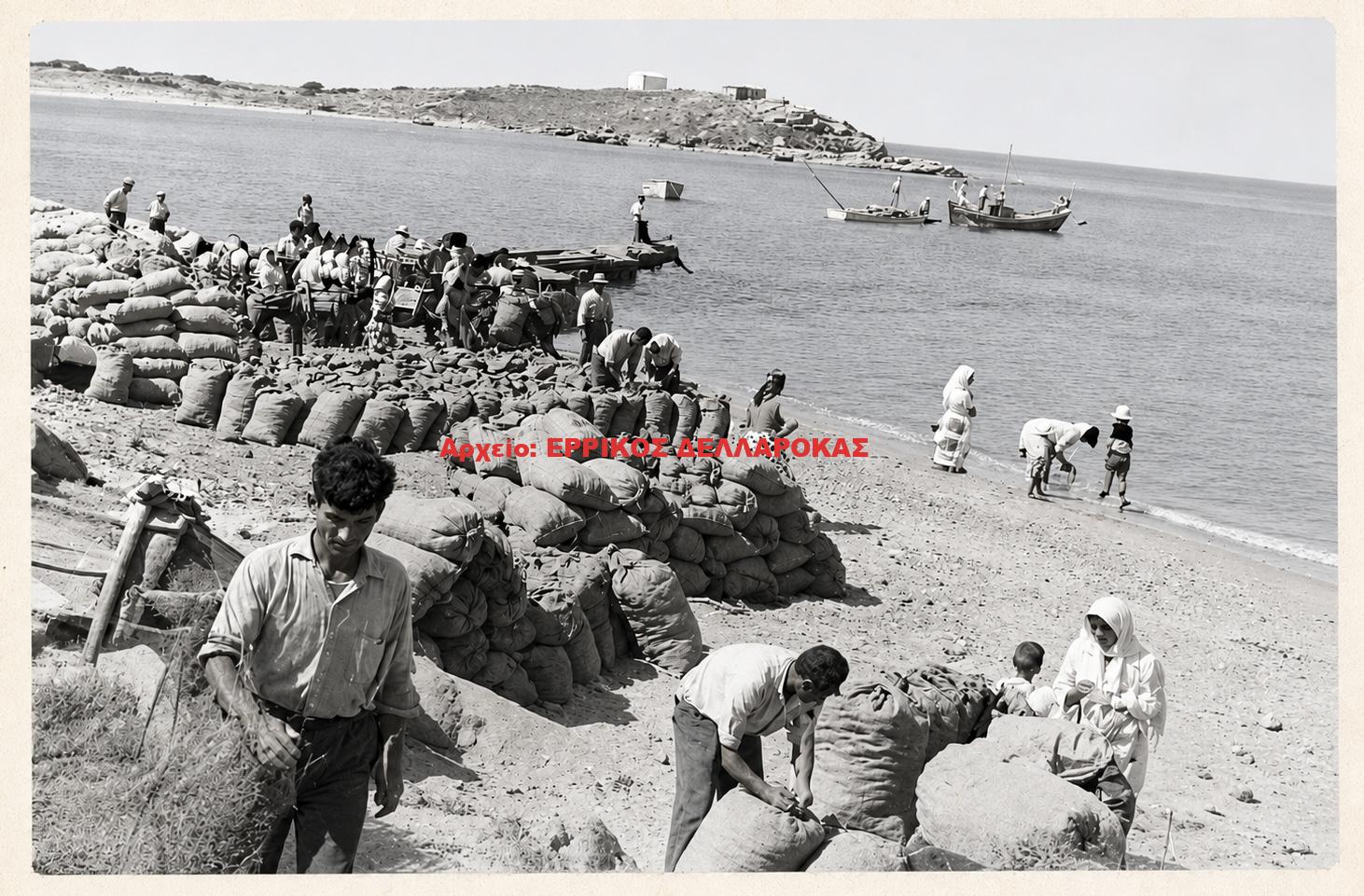 1960 ΑΓΙΑ ΑΝΝΑ ΠΑΤΑΤΟΣΠΟΡΟΣ