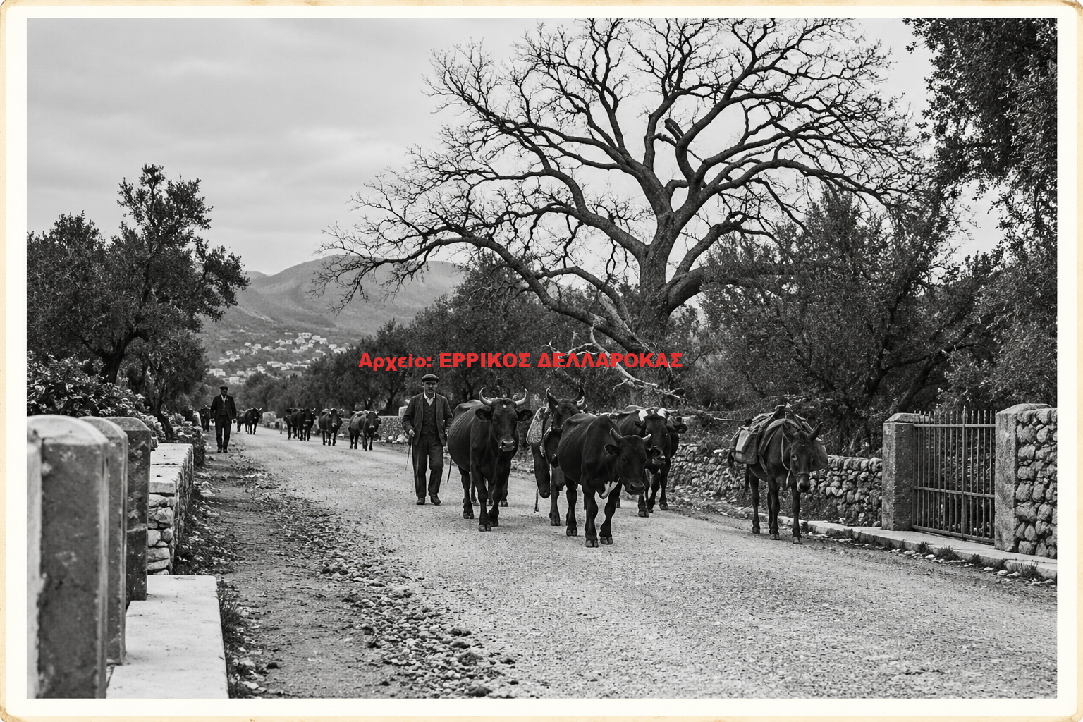 1939 ΕΙΣΟΔΟΣ ΣΤΟ ΧΑΛΚΙ