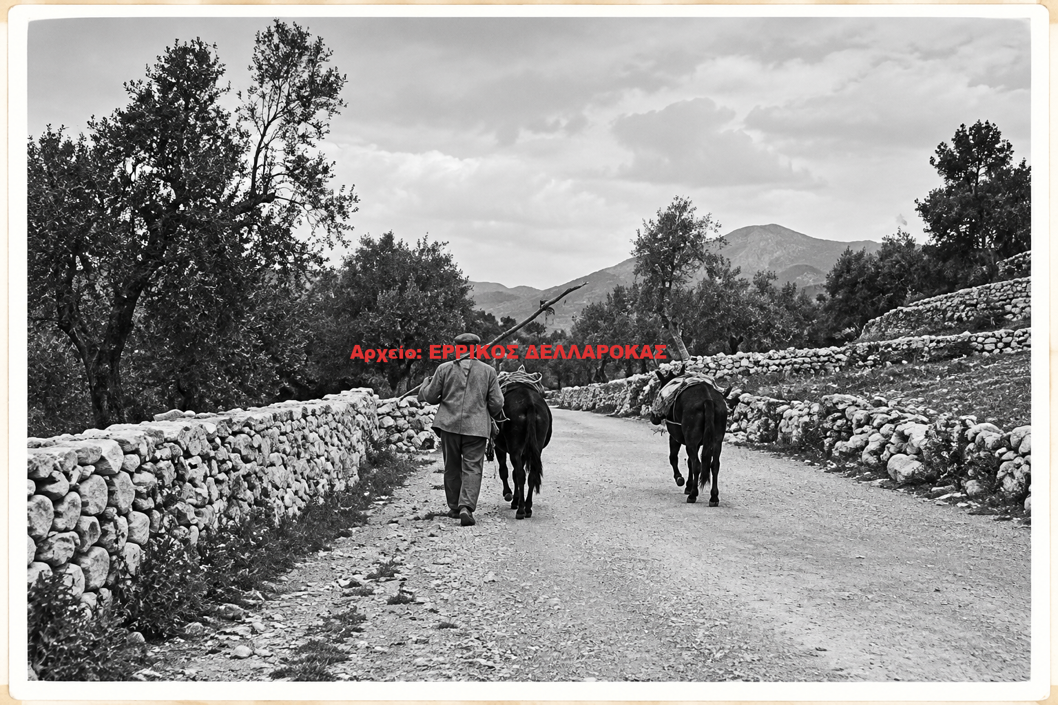 1939 ΦΙΛΩΤΙ ΠΡΟΣ ΧΑΛΚΙ